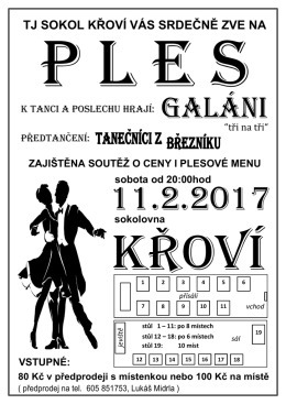 Pozvánka na PLES 11.2.2017