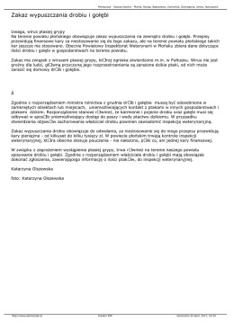Zakaz wypuszczania drobiu i gołębi