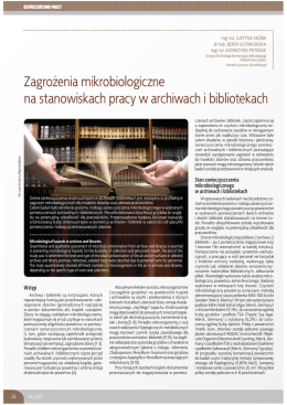 Microbiological hazards in archives and libraries / Zagrożenia