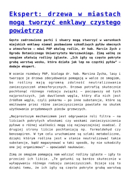 Ekspert: drzewa w miastach mogą tworzyć enklawy czystego