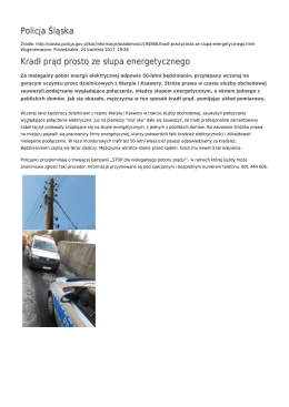 Generuj PDF - Policja Śląska