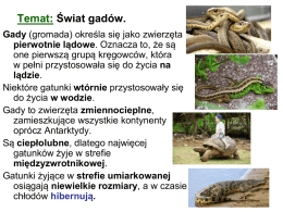 Temat: Świat gadów.