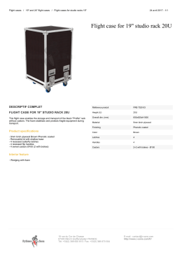 Flight case for 19" studio rack 20U