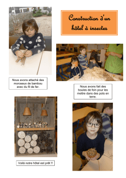 Construction d`un h&ocirc;tel &agrave; insectes
