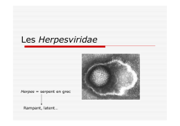 Herpesviridae