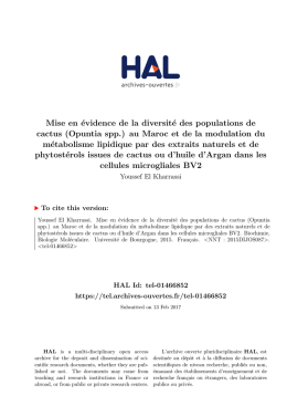 these_A_EL_KHARRASSI_Youssef_2... - TEL (Th&egrave;ses-en-ligne)