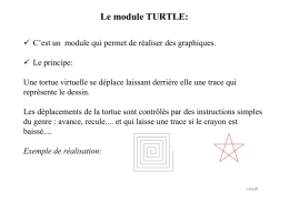 Turtle