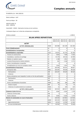 Comptes annuels 441928931 - Logo Credit