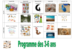 Mon joli papillon Des insectes &agrave; nos pieds F&eacute;lin artiste Coccinelle &agrave;