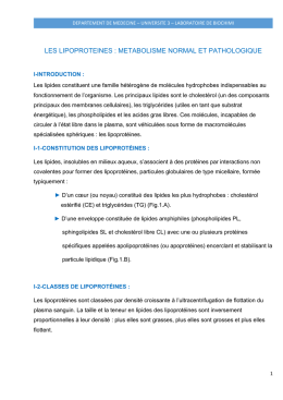 Les lipoprotéines Metabolisme normal et Pathologique site