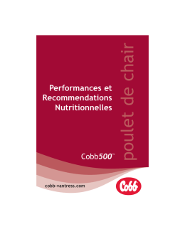 poulet de chair - Euro