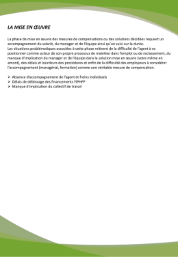 Mise en &oelig;uvre - Maintien dans l`emploi