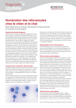 Num&eacute;ration des reticulocytes chez le chien et le chat