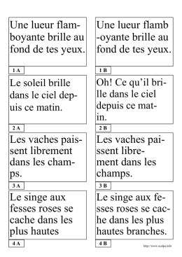 Situation problème n°1