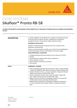 Syst&egrave;me Sikafloor-RB58