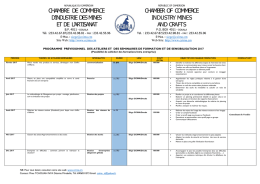 chambre de commerce d`industrie desmines et de l`artisanat