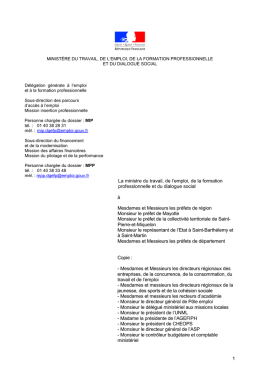 La ministre du travail, de l`emploi, de la