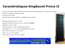 Caractéristiques KingSound Prince II