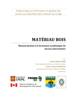 mat&eacute;riau bois
