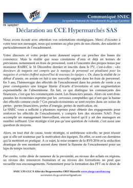 2017-02-16 Déclaration SNEC - Consultation stratégie 2017