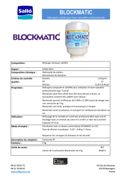 Blockmatic - détergent solide pour tunnels