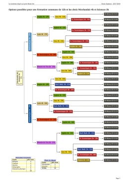 Les choix d`options au 3&egrave;me degr&eacute;