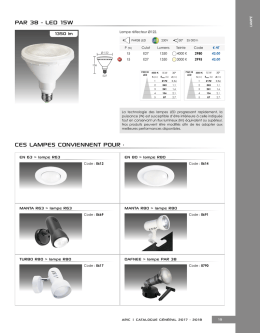 par 38 - led 15w ces lampes conviennent pour