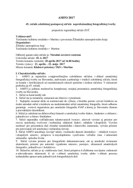 AMFO 2008 - Turiec Online
