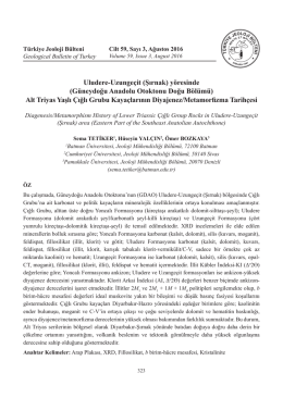 Diagenesis/Metamorphism History of Lower Triassic Çığlı Group