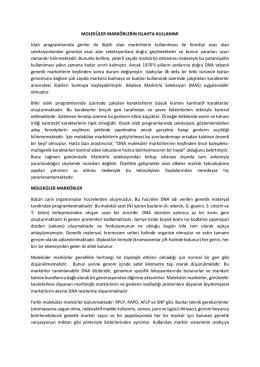 Moleküler Markörle Seleksiyon (MAS) Kaynak