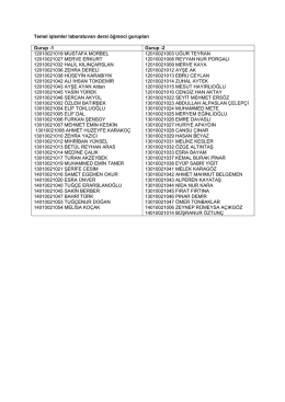 Temel işlemler laboratuvarı dersi öğrenci gurupları Gurup