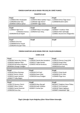 FZM356 KUANTUM LAB (A GRUBU-YRD.DO&Ccedil;.DR. DENİZ YILMAZ
