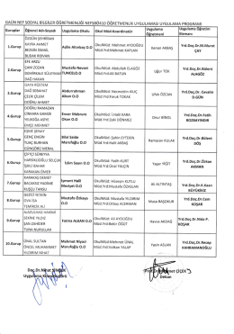 nefsbo410