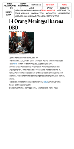 14 Orang Meninggal karena DBD