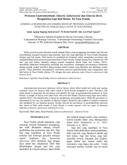 Protozoa Gastrointestinal: Eimeria Auburnensis dan