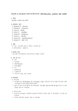 바실루스서브틸리스에이치에이아이-404(Bacillus subtilis hhi