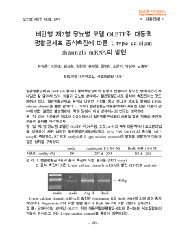 비만형 제2형 당뇨병 모델 OLETF쥐 대동맥 평활근세포 증식촉진에