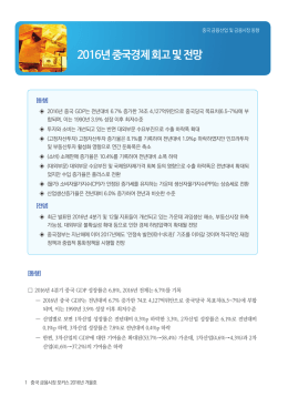 2016년 중국경제 회고 및 전망