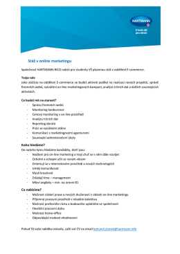 St&aacute;ž v online marketingu