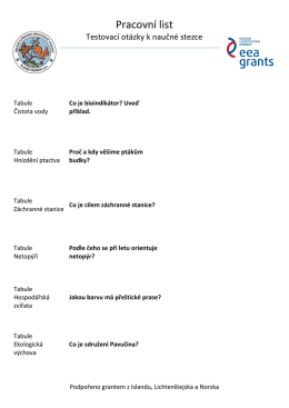 Pracovní list