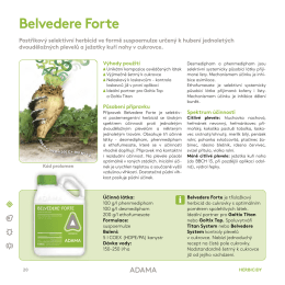 Belvedere Forte