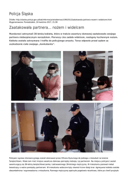 Policja Śląska Zaatakowała partnera... nożem i widelcem