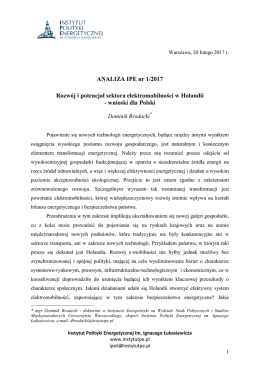 ANALIZA IPE nr 1/2017 Rozwój i potencjał sektora