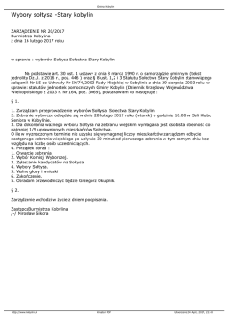 Wybory sołtysa -Stary kobylin