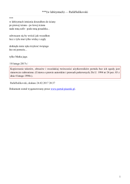 (w labiryntach) — RafalSulikovski