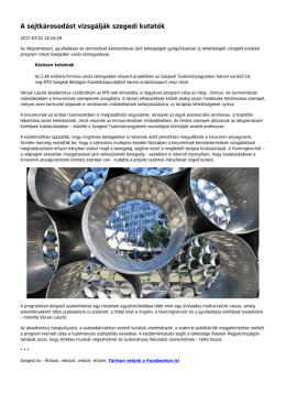 A sejtk&aacute;rosod&aacute;st vizsg&aacute;lj&aacute;k szegedi kutat&oacute;k