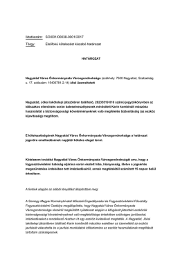 Elsőfokú kötelezést kiszabó határozat