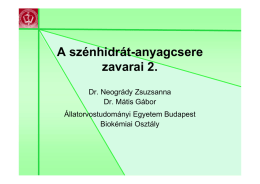 A szénhidrát-anyagcsere zavarai 2.