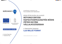 b&uacute;torgy&aacute;rt&aacute;si kapacit&aacute;sfejleszt&eacute;s b&oacute;dis p&eacute;ter egy&eacute;ni