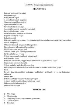 let&ouml;lt&eacute;s PDF form&aacute;tumban